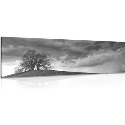 Obraz černobílé osamělé stromy - 90x30