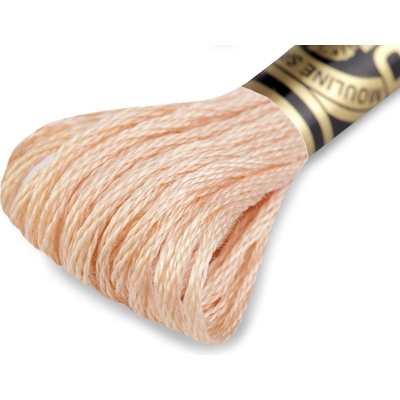 Vyšívací příze DMC Mouliné Spécial Cotton, střední, 945 bambus světlý