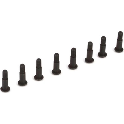 Team Losi Racing TLR шоу от King Pin (8): 22-4