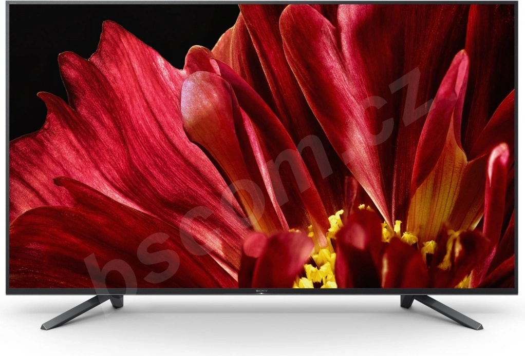 Sony Bravia KD-65ZF9