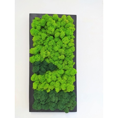 Mechový obraz v černém dřevěném rámu 50cm x 25cm