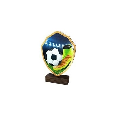 Poháry Bauer Dřevěná plaketa TFRW005 Fotbal
