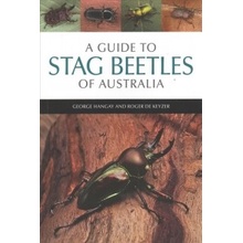 GT STAG BEETLES OF AUSTRALIA