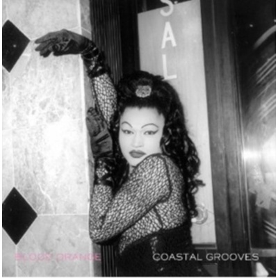 Blood Orange - Coastal Grooves LP