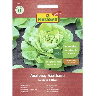 Salát hlávkový Analena FloraSelf Select výsevný pás