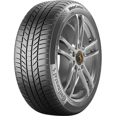 WinterContact TS 870 P ( 215/60 R16 95H (+), EVc )