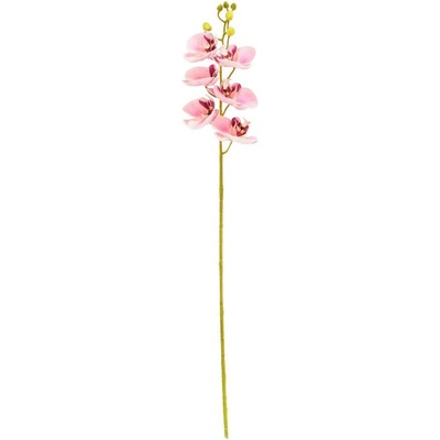 KS ORCHIDEA PHALAENOPSIS BLEDO-RUŽOVÁ 72CM