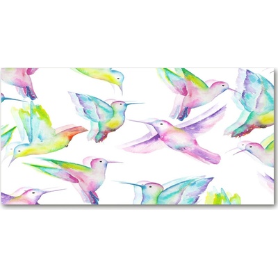 Fotoobraz na skle kolibrík 100x50 cm
