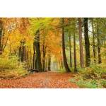 DIMEX ART Флизелинов фототапет есенна гора 375 x 250 см
