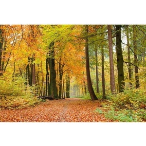 DIMEX ART Флизелинов фототапет есенна гора 375 x 250 см