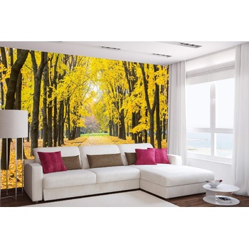 DIMEX ART s. r. o Самозалепваща се флизелинова фототапета есенен парк 375 x 250 см