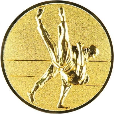 0453 Emblém judo