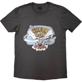 Green Day Риза Dookie Vintage Unisex Grey 2XL (GDTS01XXL)