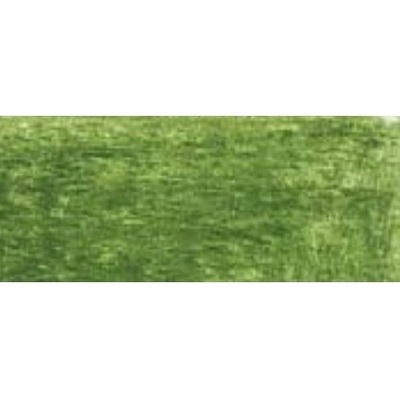 Caran d´Ache Pablo 225 Moss Green