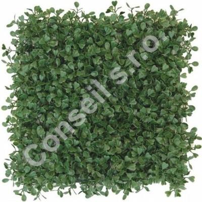 BUXUS GREEN (50CM X 50CM)