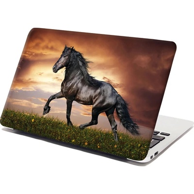 Sablio Samolepka na notebook Friský kůň - 38x26 cm