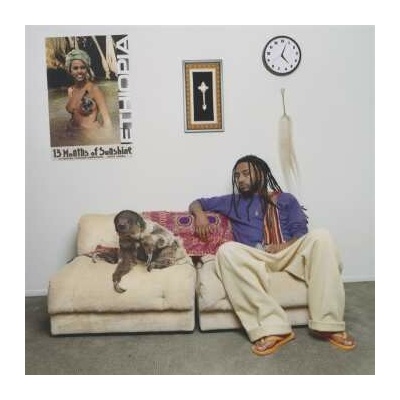 Aminé: 13 Months Of Sunshine LP 2
