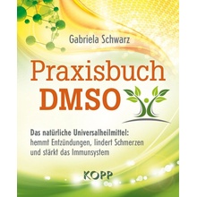 Praxisbuch DMSO Schwarz GabrielaPaperback
