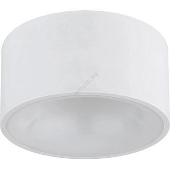 GLOBO RAYMOND 56964W