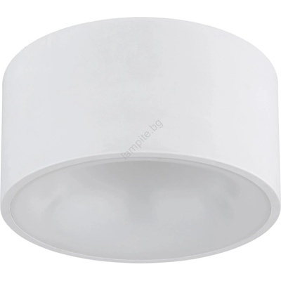 GLOBO RAYMOND 56964W