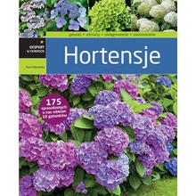 Hortensje