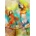 Bluebird Puzzle - Puzzle Parrots 1000 - 1 000 piese