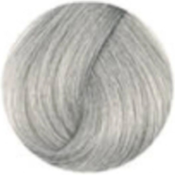 Lisap RE.Foam Color Mousse farbiaca pena na vlasy Silver Argento strieborná 200 ml