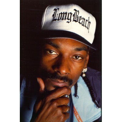Al Pereira Plagát, Obraz - Snoop Dogg, 26.7 × 40 cm