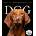 WORKMAN Cal 26 dog gallery | box