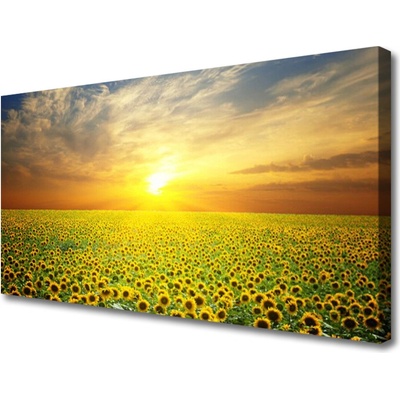 Obraz Canvas Slnko lúka slnečnica 100x50 cm