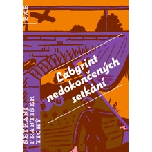 Labyrint nedokončených setkání - František Tichý