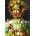 Bluebird Puzzle - Puzzle Arcimboldo - Rudolf II of Habsburg as Vertumnus - 1 000 piese