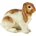 Papo Фигурка Papo Farmyard Friends - Заек (51173)