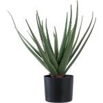 House Nordic Изкуствено растение (височина 51 cm) Aloe Vera - House Nordic (9501001)