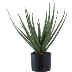 House Nordic Изкуствено растение (височина 51 cm) Aloe Vera - House Nordic (9501001)