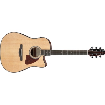 Ibanez AAD51CE-NT