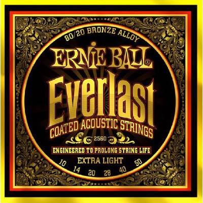 ERNIE BALL 2560