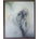 - gorila | 51.2x61.2