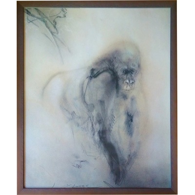 - gorila | 51.2x61.2