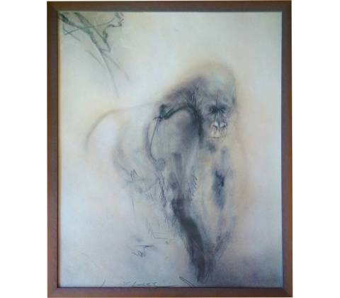 - gorila | 51.2x61.2
