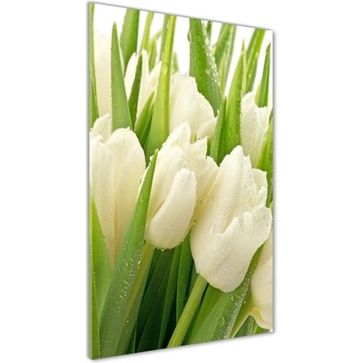 Vertikálny foto obraz sklenený Biele tulipány 50x100 cm