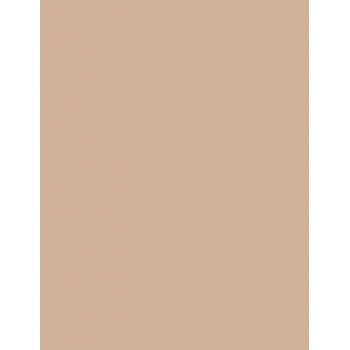 Revlon Colorstay Make-up Combination Oily Skin 340 Early Tan 30 ml