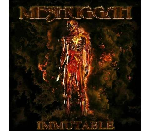 Immutable - Meshuggah LP