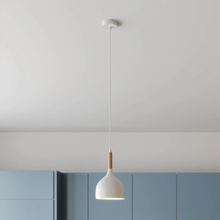 Luminex 1194