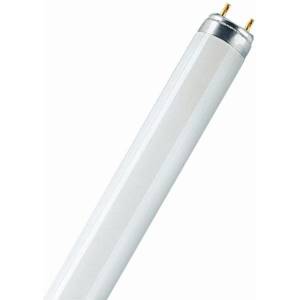 INVITAL uv флуоресцентна лампа 15w t8, g13 (за tmc) (z09748)