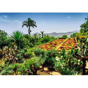 Ravensburger - Puzzle Beautiful Gardens: Botanical Garden, Madeira - 1 000 piese