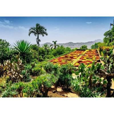 Ravensburger - Puzzle Beautiful Gardens: Botanical Garden, Madeira - 1 000 piese
