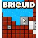 Briquid