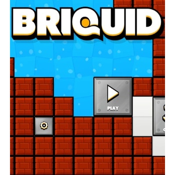 Briquid