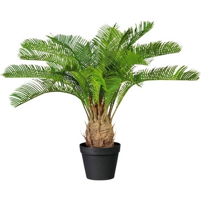 Umelá rastlina cykas cycas revoluta 60 cm zelená v plastovom kvetináči so zeminou 15x13 cm